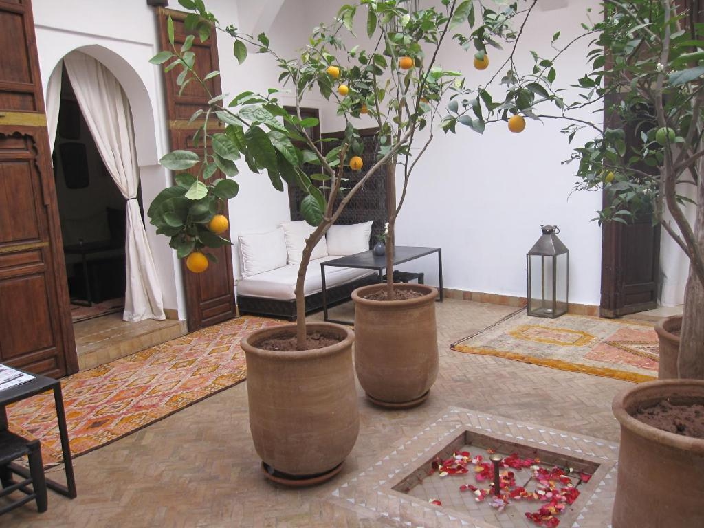 Riad Azza Hotel Marrakesh Exterior photo